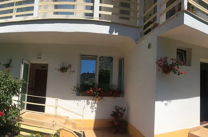 Guest house Suri Brasov